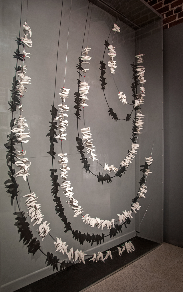 Pendant-que-l'eau-file…diatomées